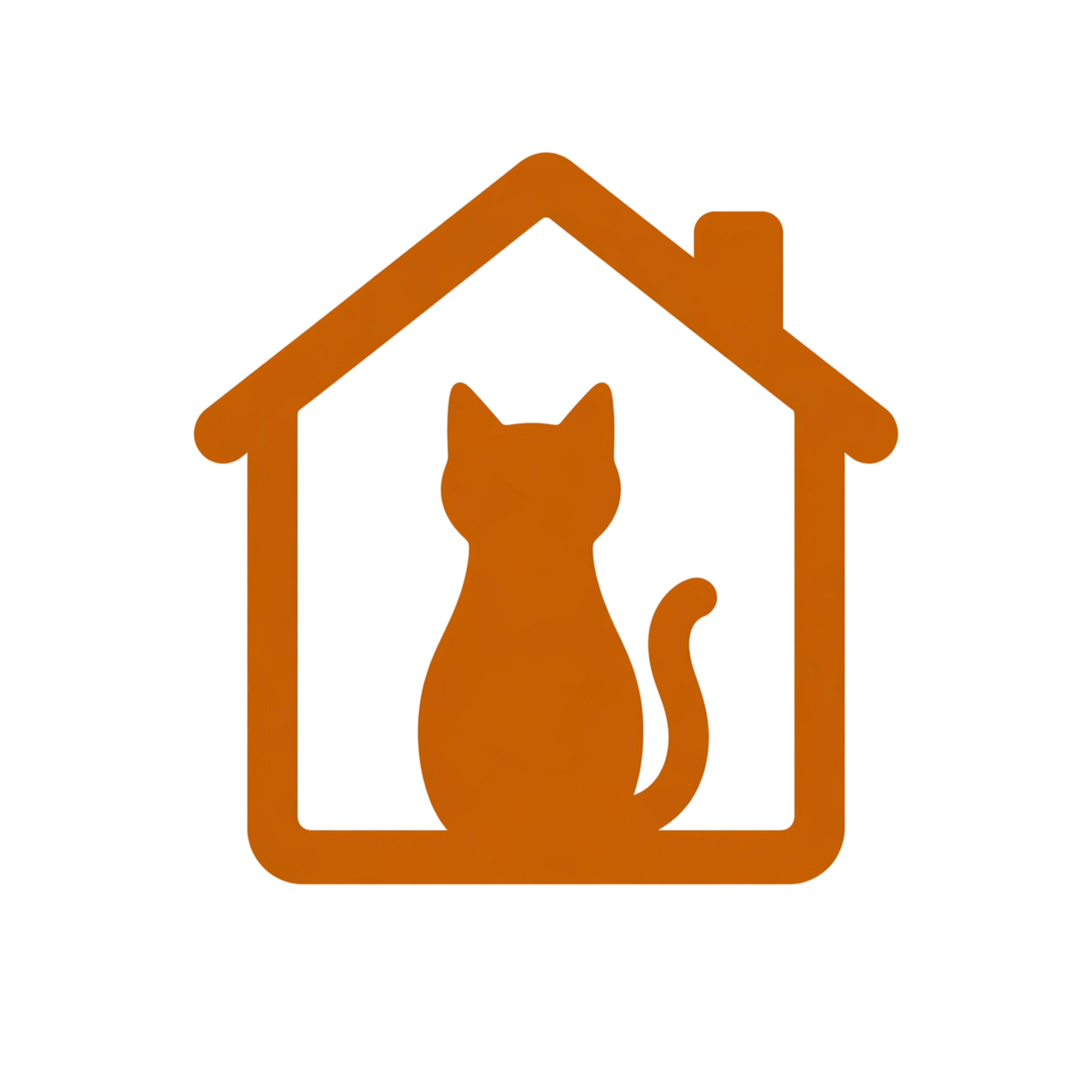 Jeux chats intérieur