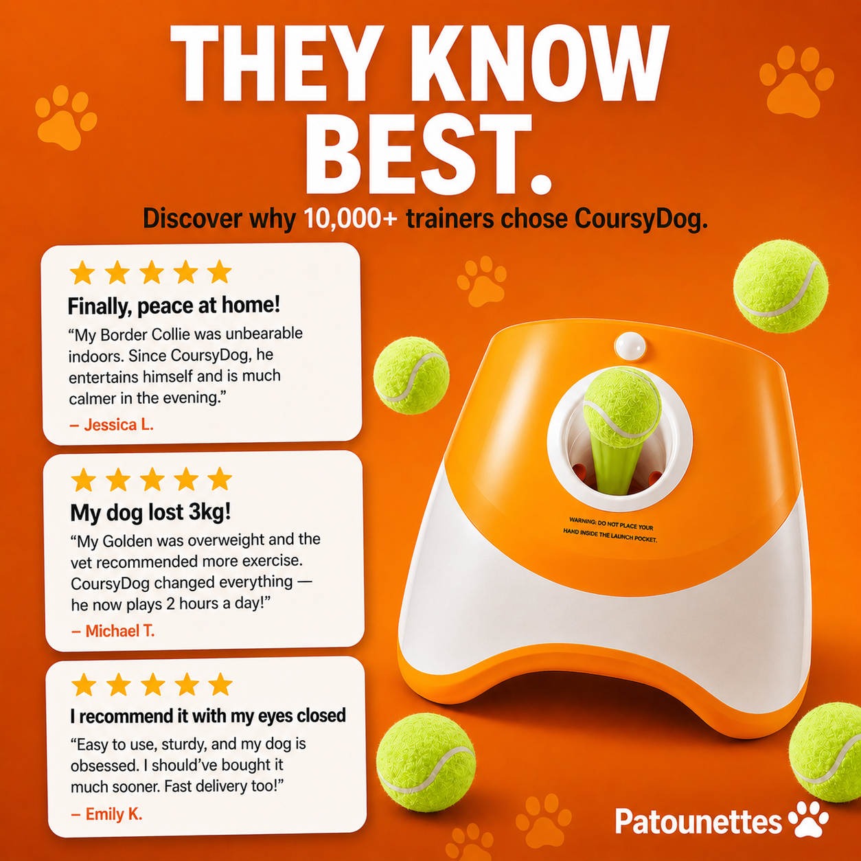 They_tested_Coursidog_the_ball_launcher_for_dogs
