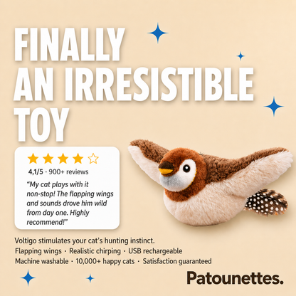 An_irresistible_toy_for_conversation