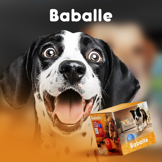 Automatic anti-stress ball for dogs Patounettes