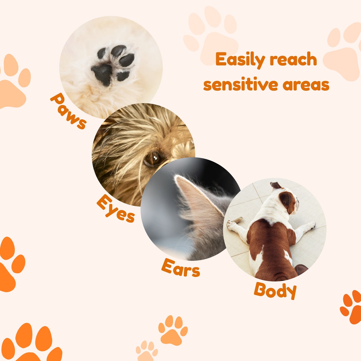 Clippers for paws, ears, nose, eyes and body dogs and cats