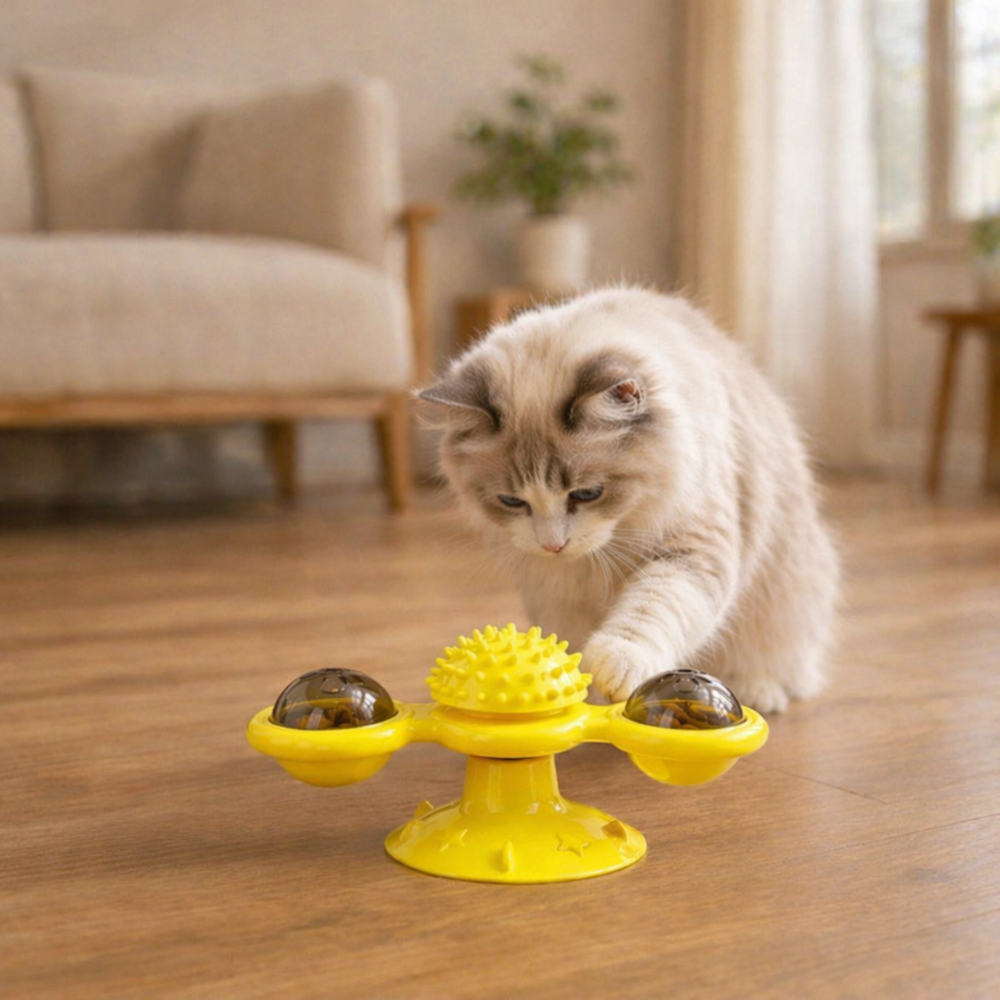 Discover how to naturally stimulate your cat