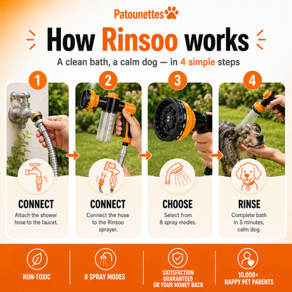 Rinsoo