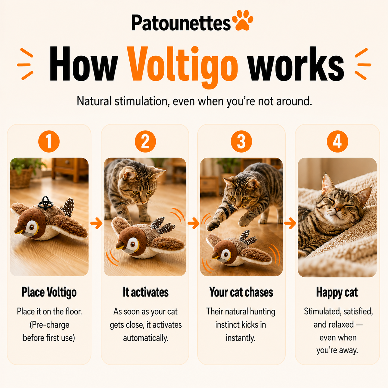 How_to_use_Voltigo_for_chat