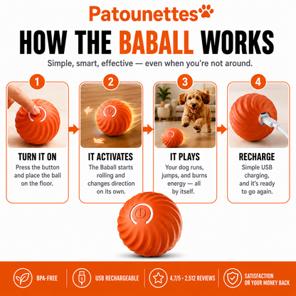 How_to_use_the_Baballe