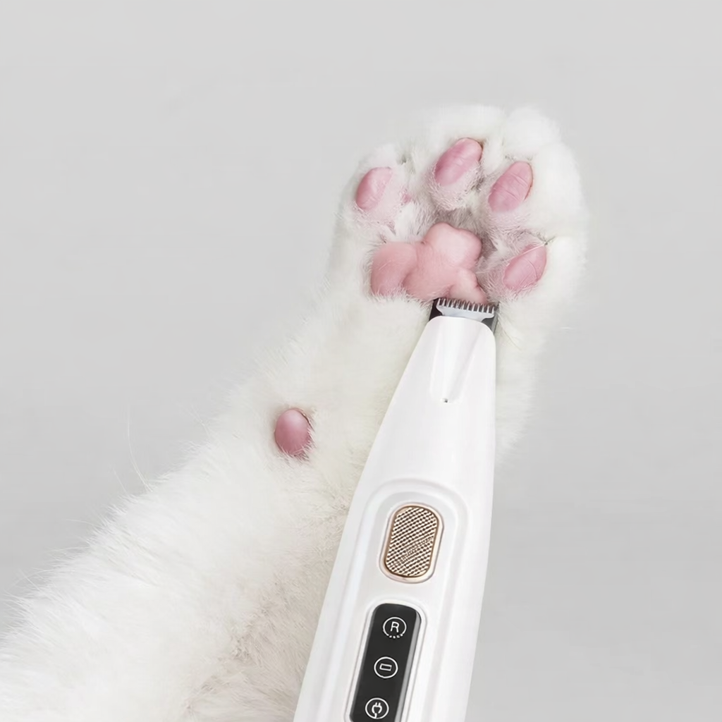 Mow the paws of your pet at home