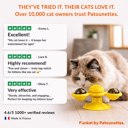 Recommended_interactive_cat_toy