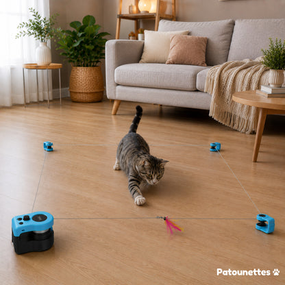 Your_cat_is_chasing_this_toy_and_is_busy_all_day by Patounettes