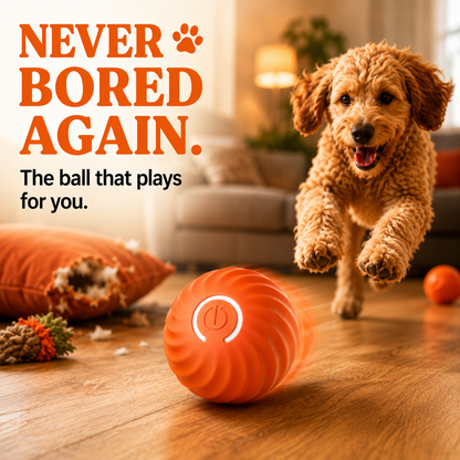 Your_dog_will_no_longer_be_bored_with_baballe