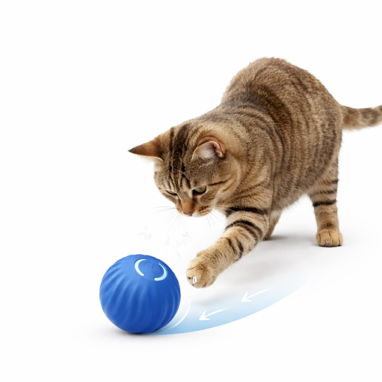 cat-plays-automatic-anti-stress-ball