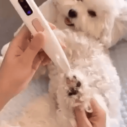 clippers-paws-ears-dog-cat-paws