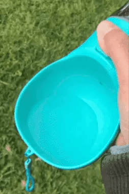 dog-water-explanation-water-kibble-bags-paws