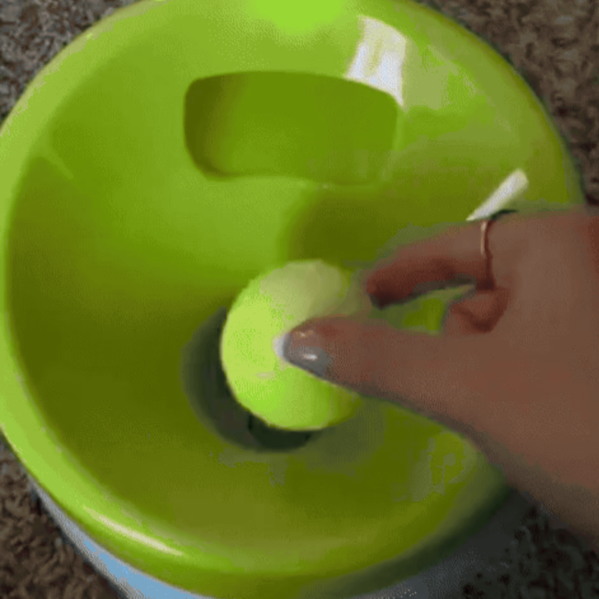indoor/outdoor dog ball launcher with paws